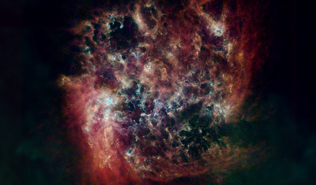 The Large Magellanic Cloud (LMC)